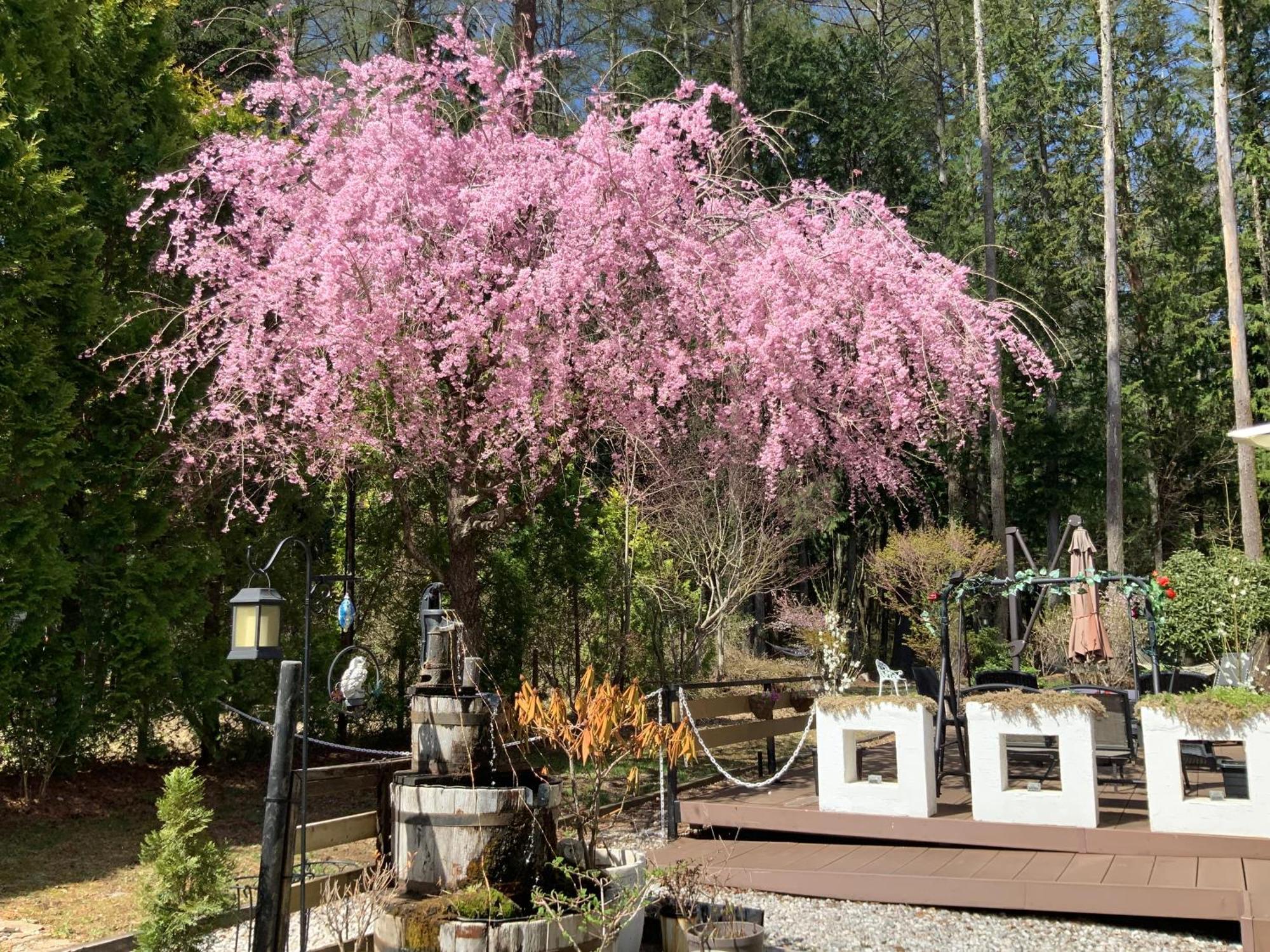 Bed and Breakfast Kakureyado Fujikawaguchiko Zewnętrze zdjęcie